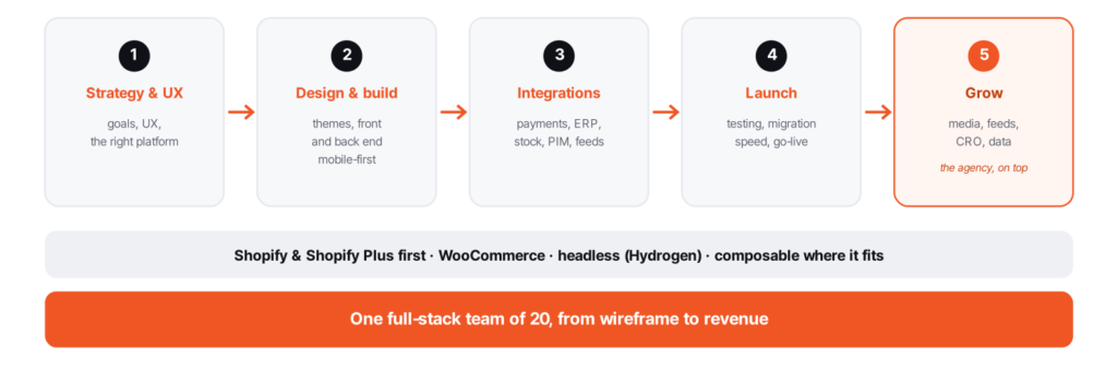 build to revenue wise pirates