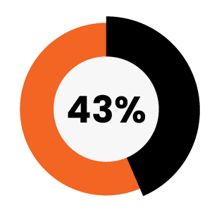 Circular chart with 43%
