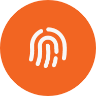 Fingerprint illustration