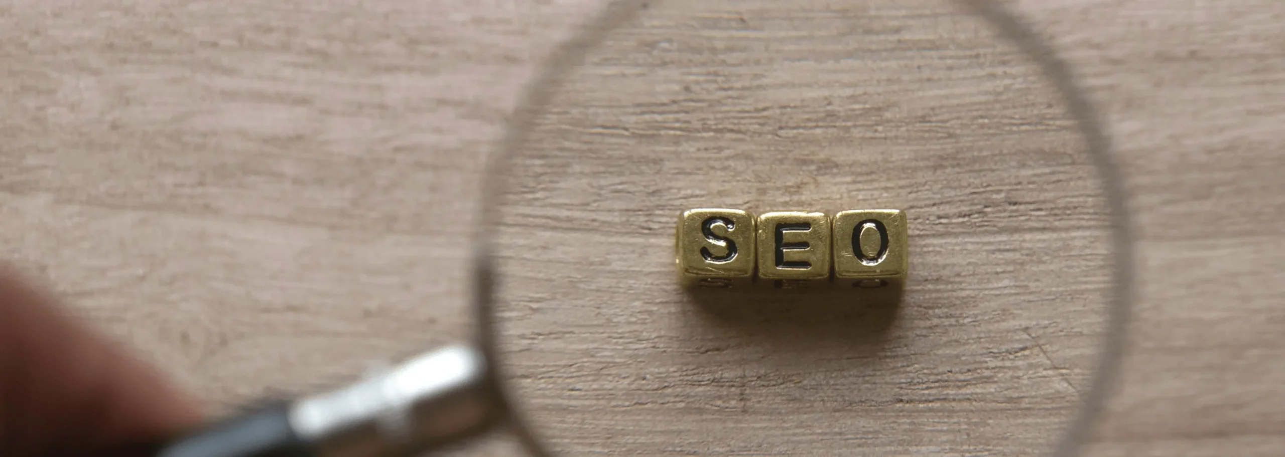 seo geo wise pirates